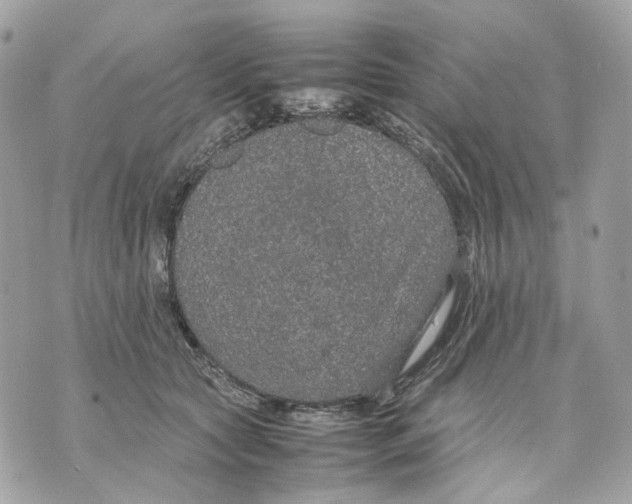 X0000070210561200606161644