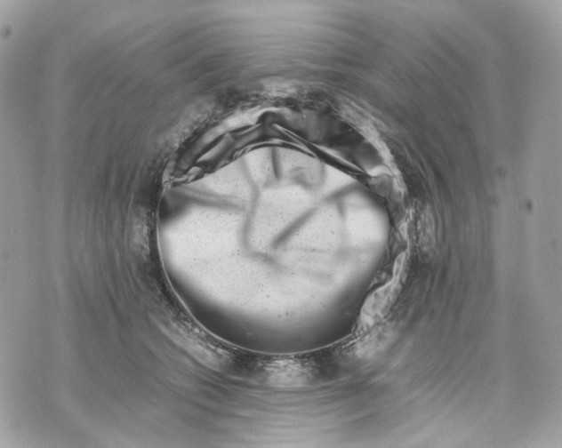 X0000070210562200606161644