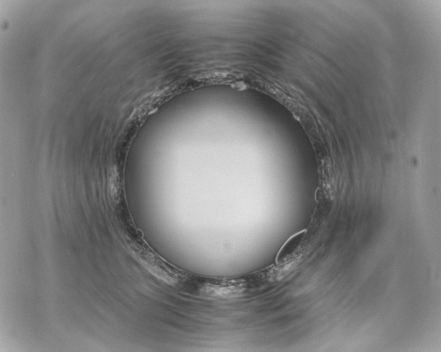 X0000070210563200606161644