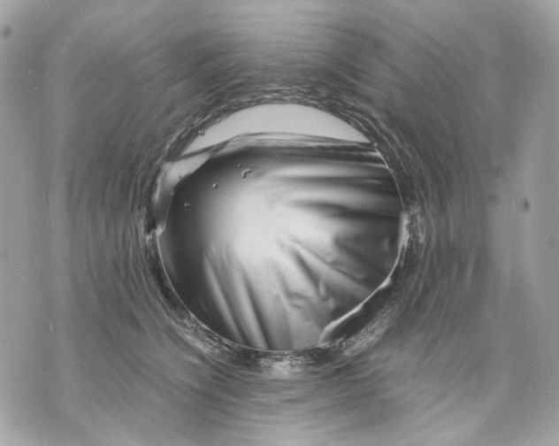 X0000070210564200606161644