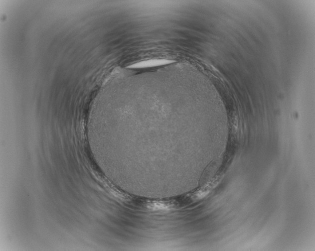 X0000070210565200606161644