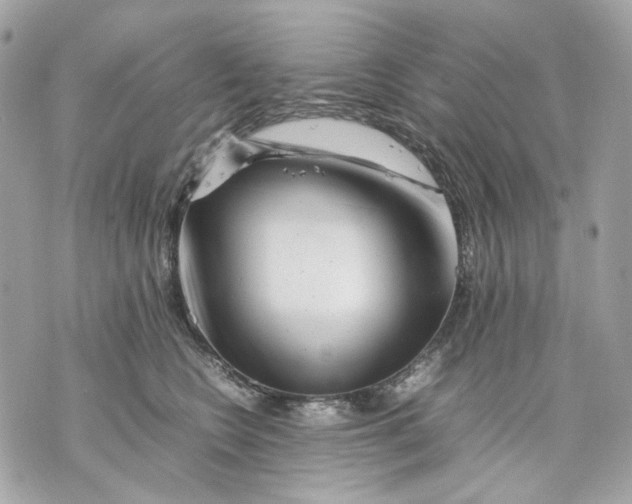 X0000070210566200606161644