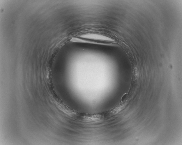 X0000070210567200606161644