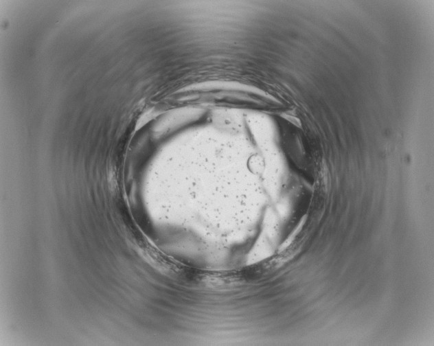 X0000070210568200606161644