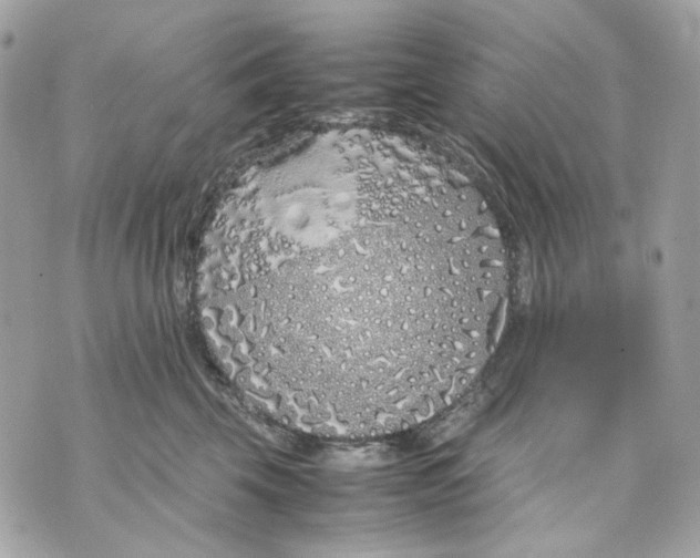 X0000070210569200606161644