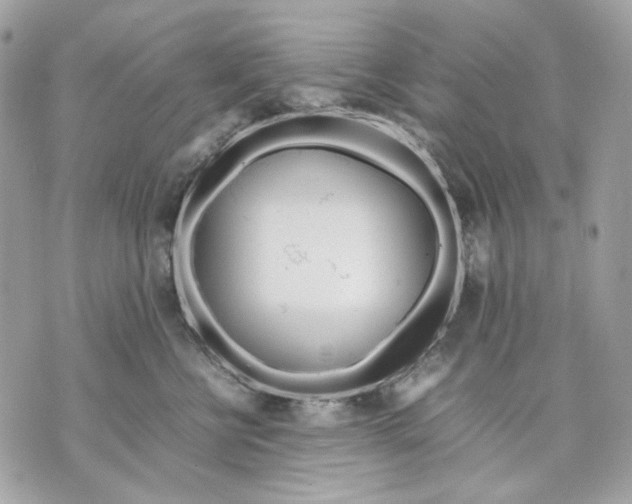 X0000070210570200606161644