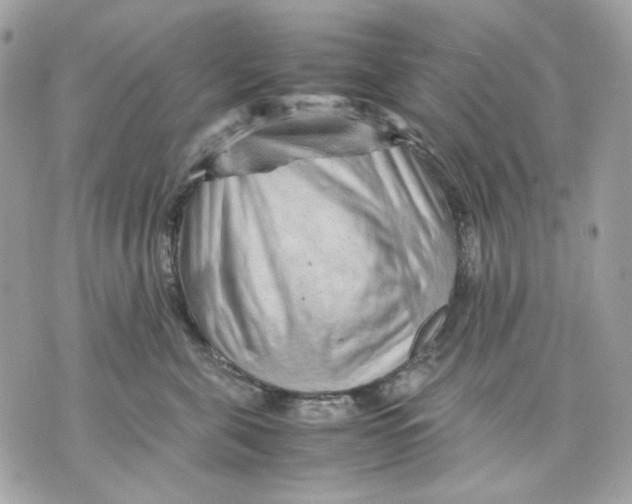 X0000070210571200606161644