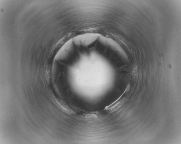 X0000070210572200606161644