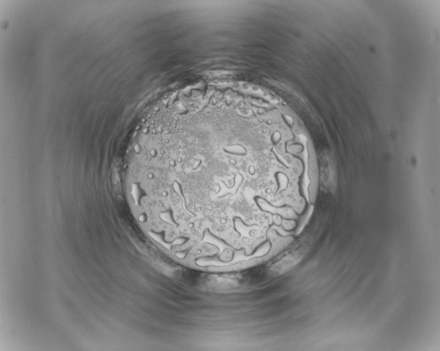 X0000070210573200606161644