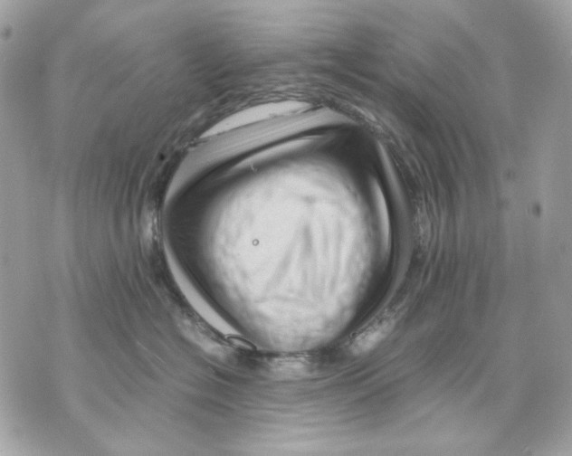 X0000070210574200606161644