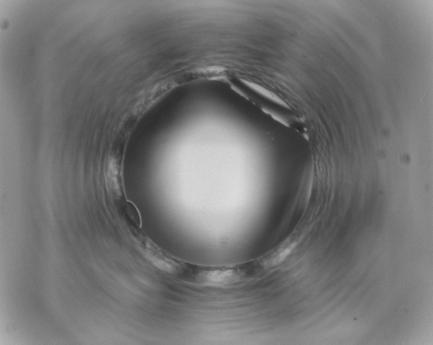 X0000070210575200606161644