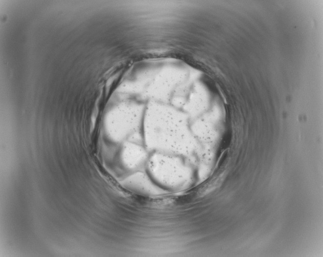 X0000070210576200606161645