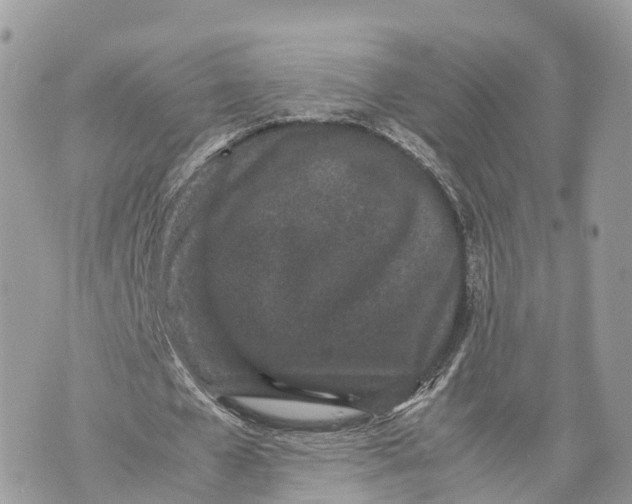 X0000070210577200606161644