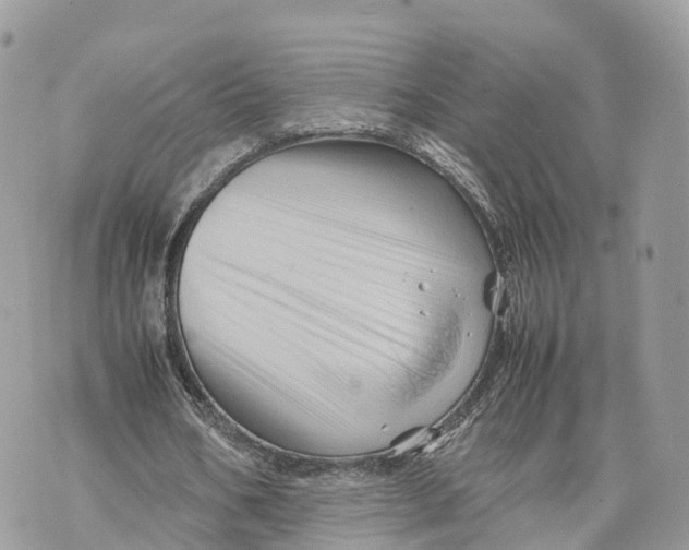 X0000070210578200606161644