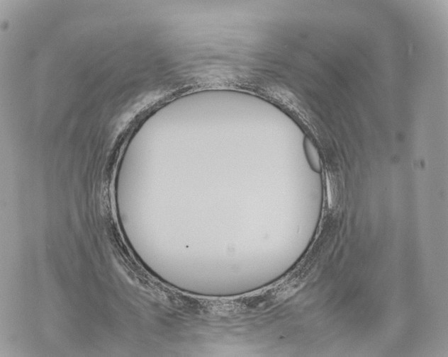 X0000070210579200606161644