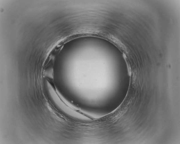 X0000070210580200606161644