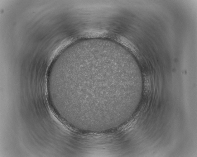 X0000070210582200606161644