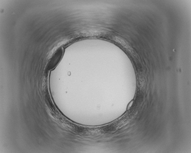 X0000070210583200606161644