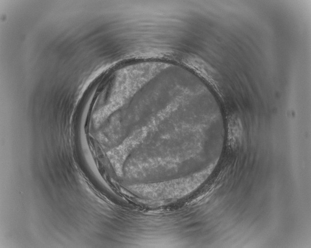 X0000070210584200606161644