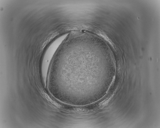 X0000070210585200606161644