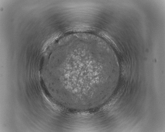 X0000070210586200606161644