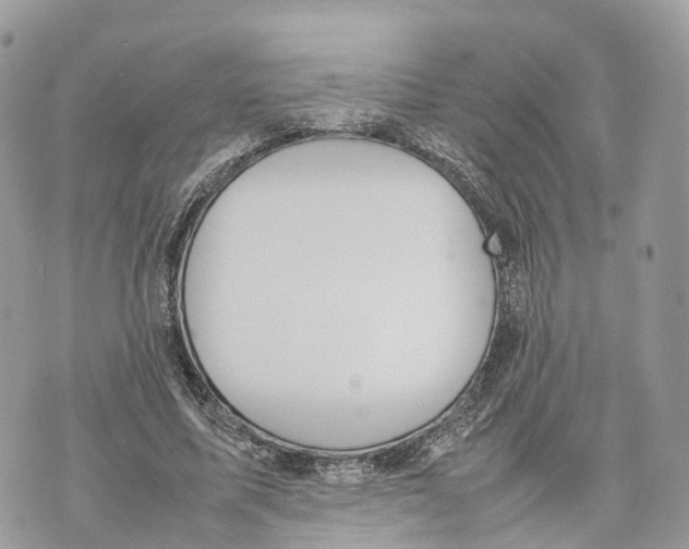 X0000070210587200606161644