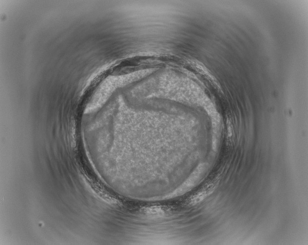 X0000070210588200606161644