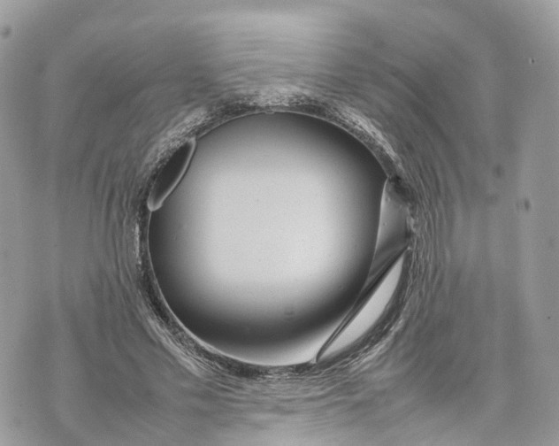 X0000070210589200606161644