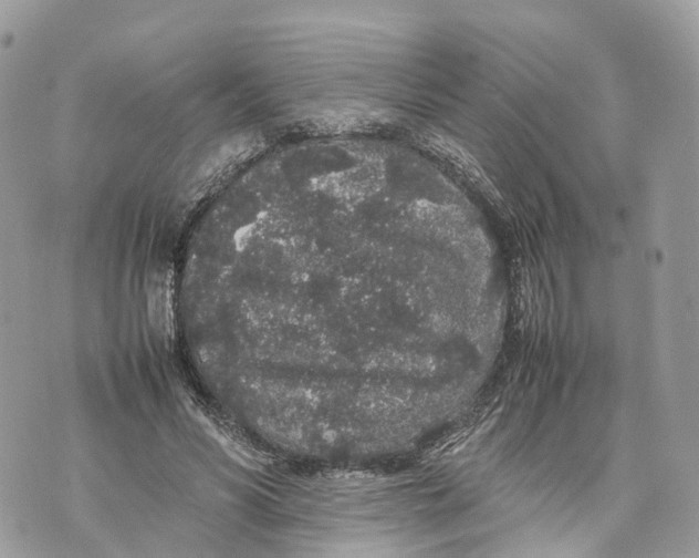 X0000070210590200606161644