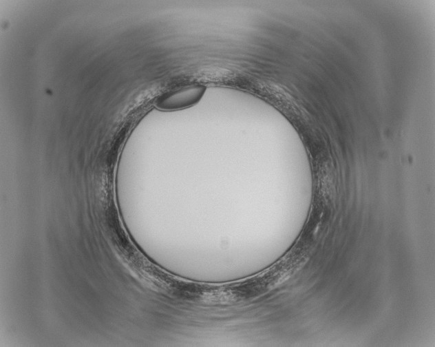 X0000070210591200606161643