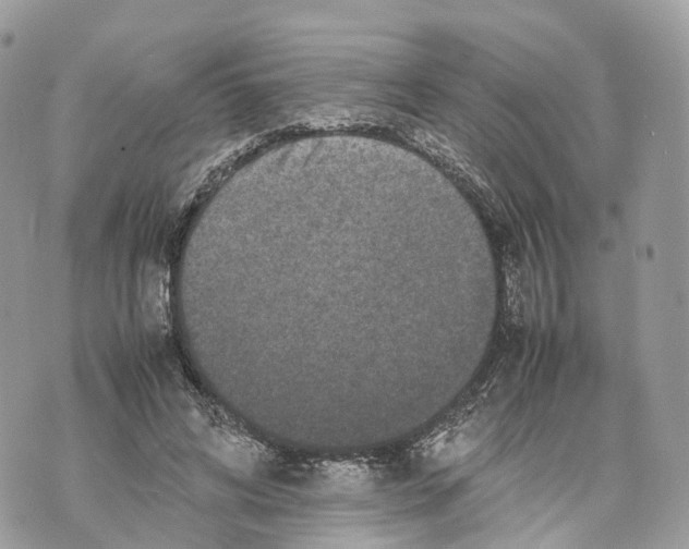 X0000070210592200606161643