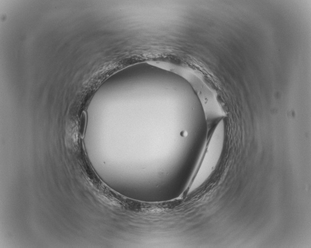 X0000070210593200606161643