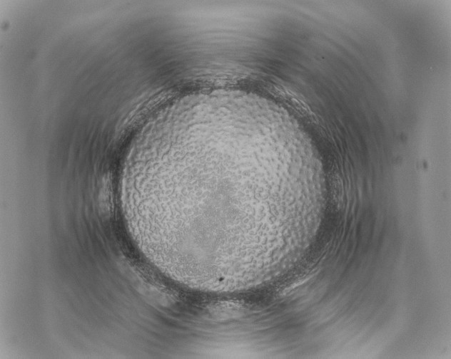 X0000070210594200606161643