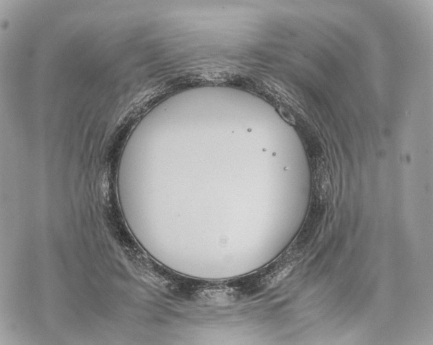 X0000070210595200606161643