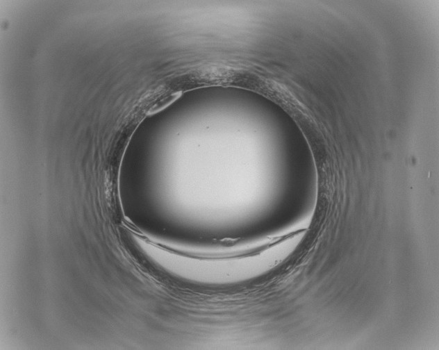 X0000070210597200606161643