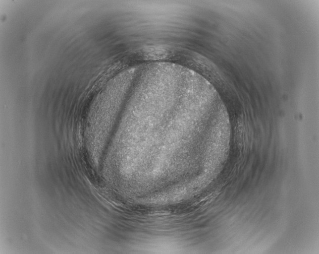 X0000070210598200606161643