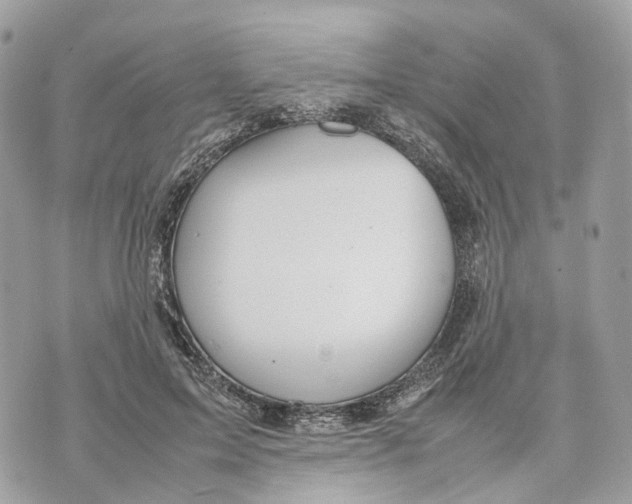 X0000070210599200606161643