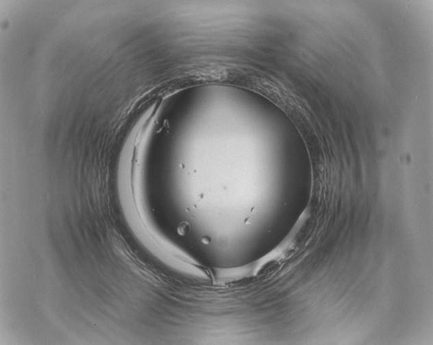 X0000070210600200606161643