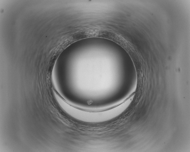 X0000070210601200606161643