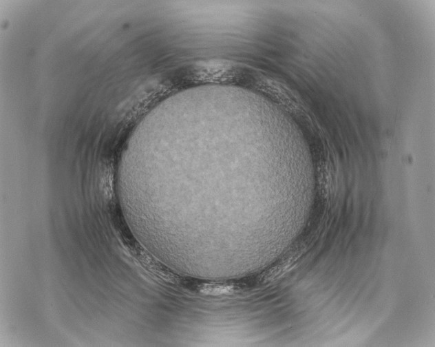 X0000070210602200606161643