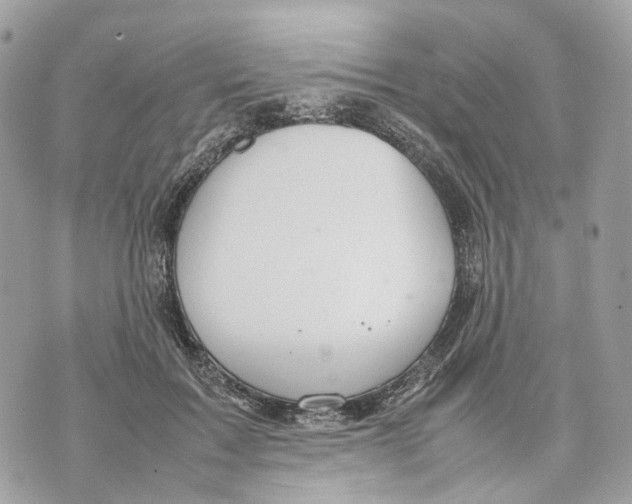 X0000070210603200606161643