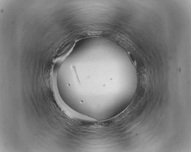 X0000070210604200606161643