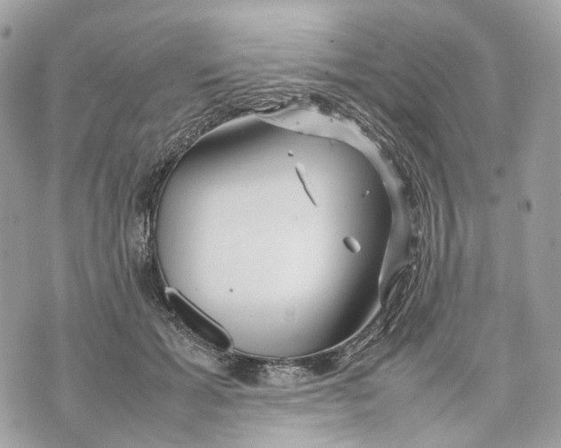 X0000070210605200606161643