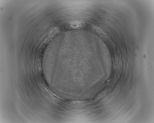 X0000070210606200606161643