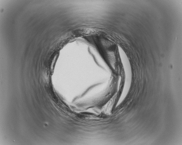 X0000070210607200606161643