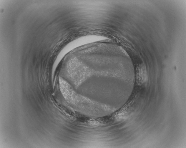 X0000070210608200606161643