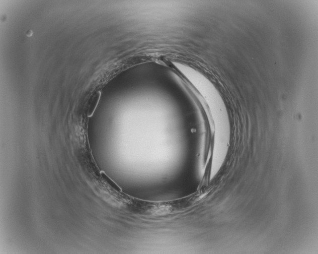 X0000070210609200606161643