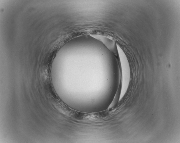 X0000070210611200606161643