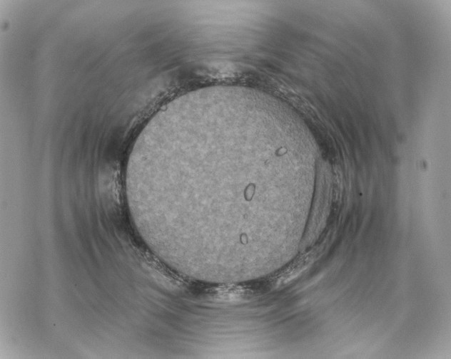 X0000070210612200606161643