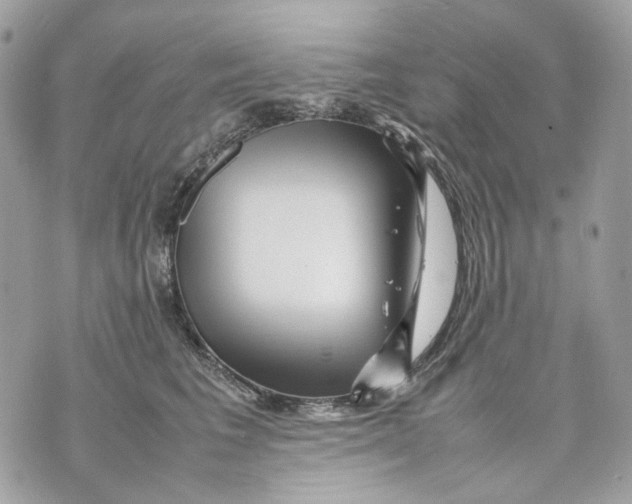 X0000070210613200606161643